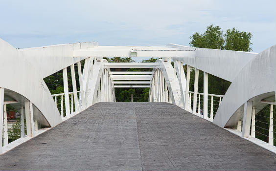 Puente Peatonal Constitucion