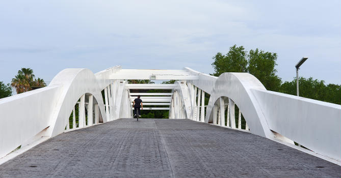 Puente Peatonal Constitucion