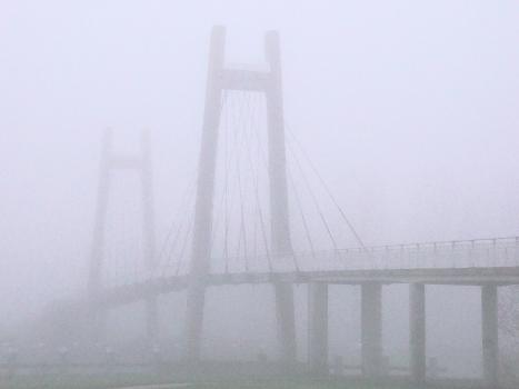 Cyclers bridge on a foggy autumn day