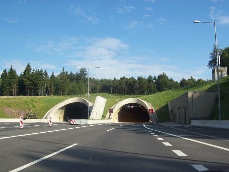 Panenská Tunnel