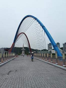Pont de l'Expo