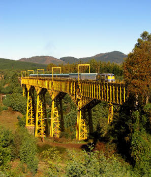 Viaduc du Malleco