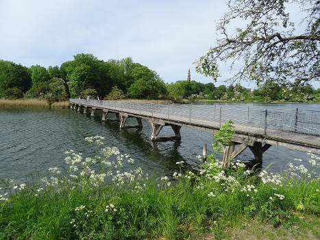 Pont Eli-Møller