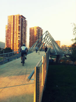 Puente Entre Parques