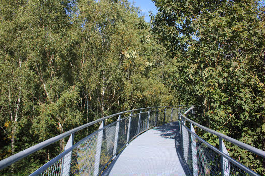 Bon-Secours State Forest Treetop Walk