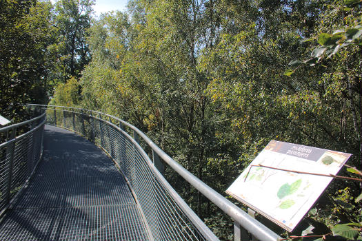 Promenoir des Cimes de la forêt domaniale de Bon-Secours