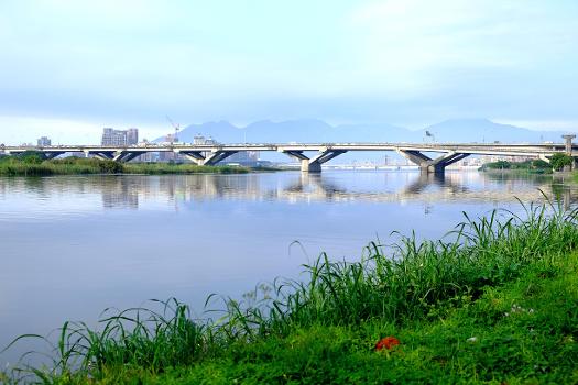 Zhongxiao-Brücke