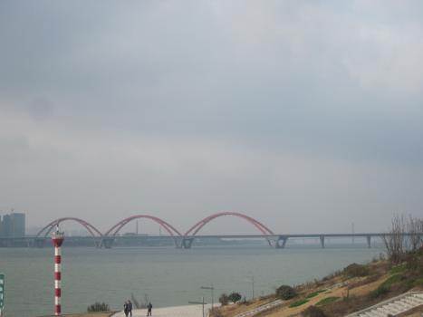 The Fuyuanlu Bridge is a X-type arch bridge across the Xiangjiang River between New Riverside City and New Kaifu City in Changsha, Hunan, China.
