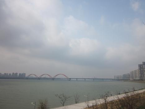 The Fuyuanlu Bridge is a X-type arch bridge across the Xiangjiang River between New Riverside City and New Kaifu City in Changsha, Hunan, China.