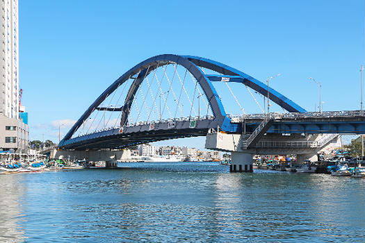 Pont Geumgang à Sokcho, Corée du Sud