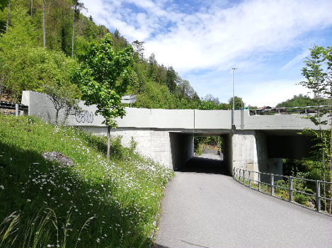 Goldswil-Viadukt: Widerlager Nord mit Unterführung Eyenweg