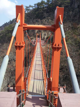 Pont Gunji