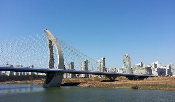Handuri Bridge, Sejong, South Korea