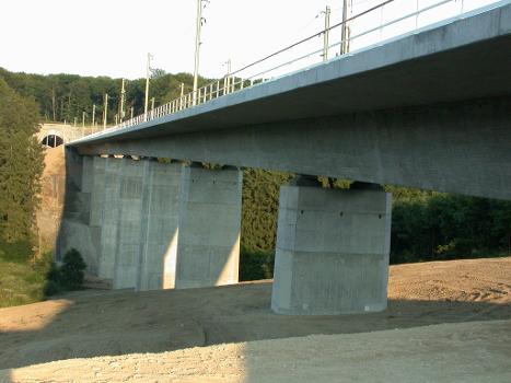 Wiesengrund-Brücke der ICE-Strecke Frankfurt-Köln im Gebiet der Gemeinde Heilberscheid, Deutschland