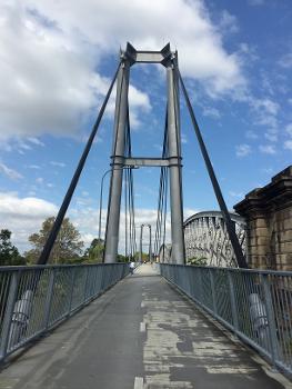 Jack Pesch Bridge and next to it Albert Bridge, Brisbane