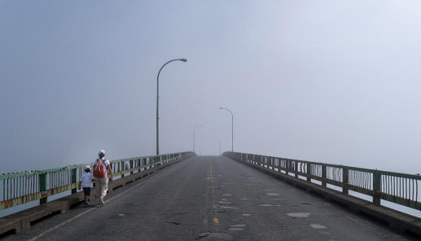 Franklin Delano Roosevelt Memorial Bridge