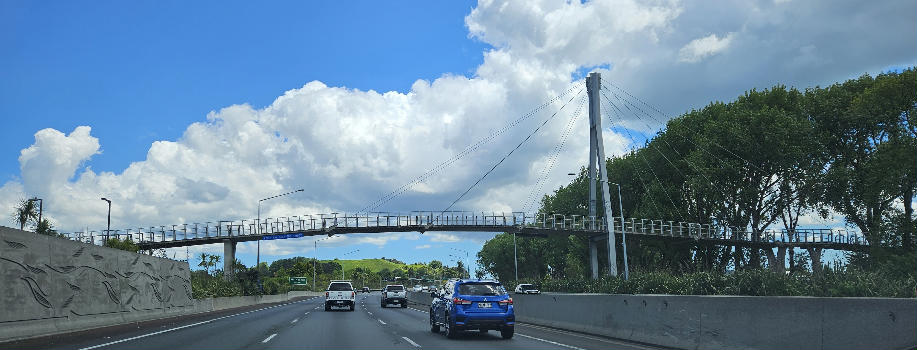 Keith Hay Park Footbridge in Mount Roskill, Auckland, NZ