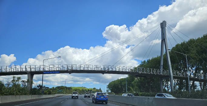 Keith Hay Park Footbridge in Mount Roskill, Auckland, NZ