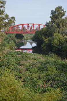 Puente El Molinito