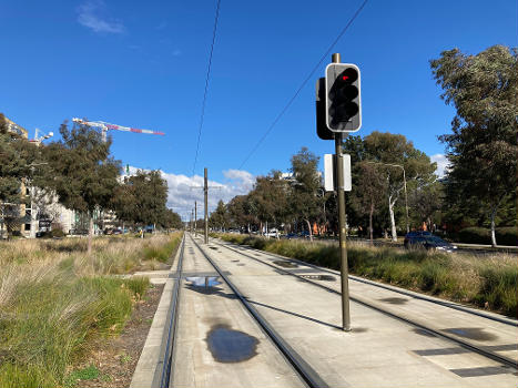 Light rail lines in the centre of Northbourne Avenue, looking from north to south