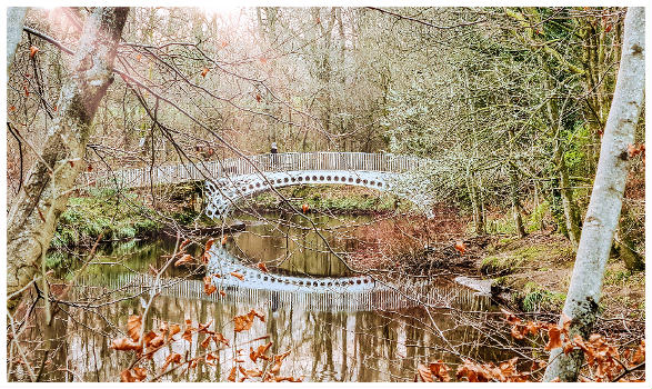 Linn Park Bridge