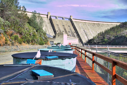 Shasta Dam