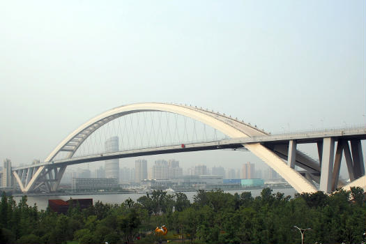 View of Shanghai's Lupu Bridge, taken from the rooftop of the Swiss Pavillion at the World Expo 2010 (Pudong side)