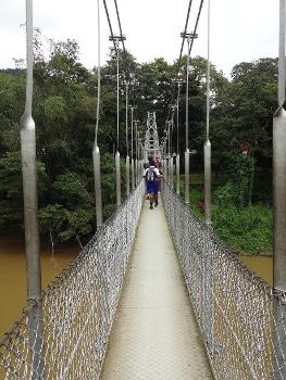 Brücke über den Mahaweli River vom Botanical Garden of Peradeniya aus