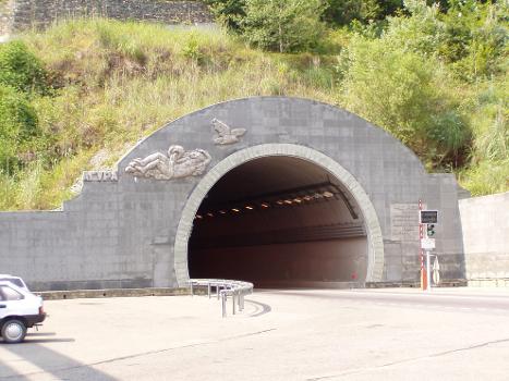 Tunnel Agoursky