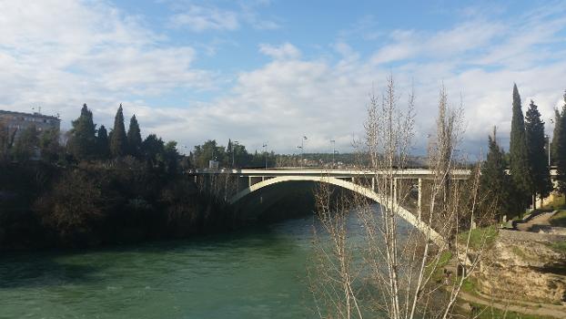 Blažo Jovanović Bridge