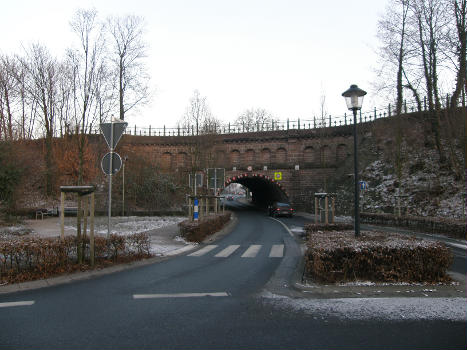 Oblique Bridge