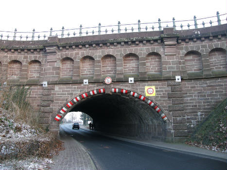 Oblique Bridge