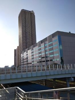 Orto Yokohama View Tower