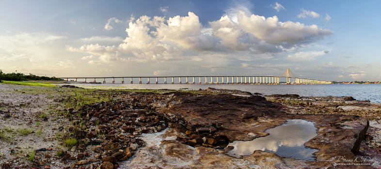 Rio Negro Bridge