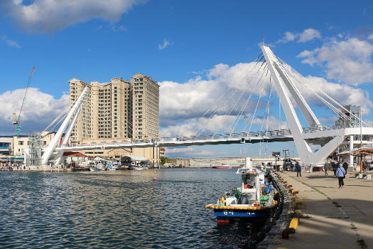 Daepo Port Footbridge