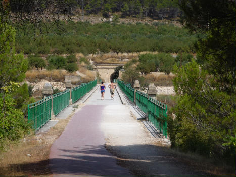 Pont de les Set Llunes