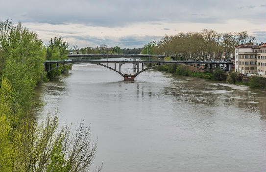 Pont Neuf de Montauban