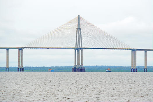 Rio Negro Bridge