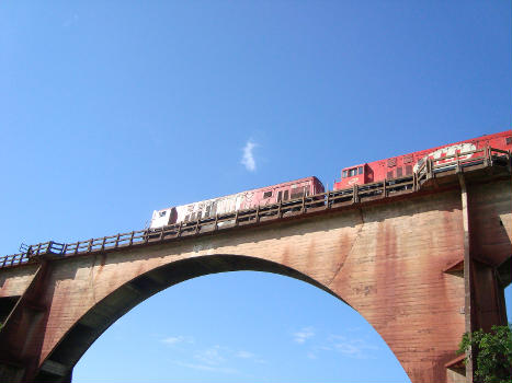 Rio Branco Bridge