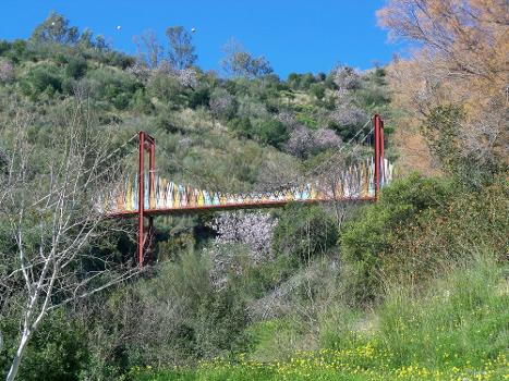 Puente de Colores