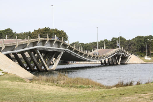 Puente Leonel Viera