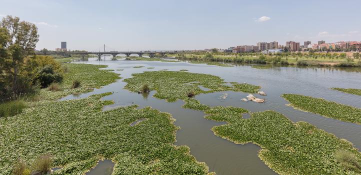 University Bridge over the Guadiana River, Badajoz, Spain