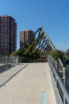 Puente Entre Parques