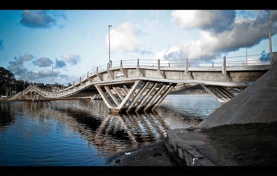 Puente Leonel Viera