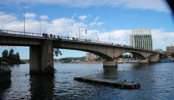 Pont Pedro de Valdivia