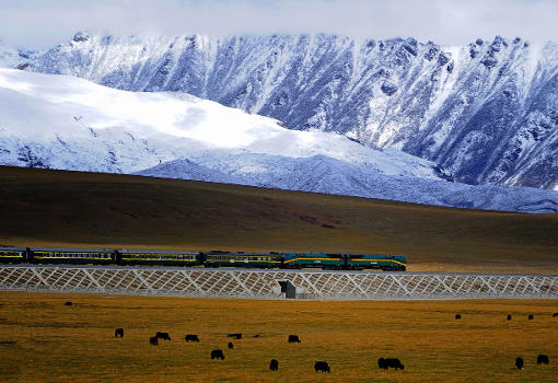 Ligne ferroviaire Qing-Zang