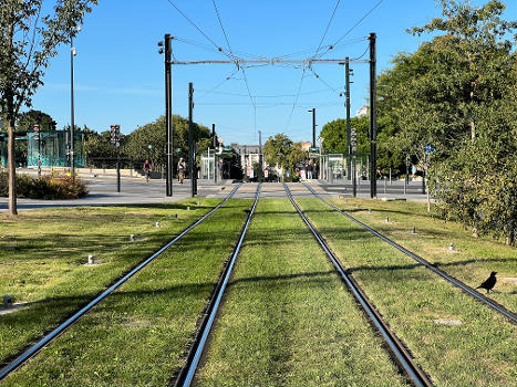 Rails de la ligne 1 du tramway de Nantes Cours John Kennedy, Nantes.