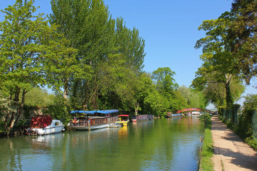 River Thames at Fiddlers Island 