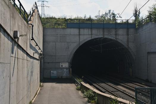North portal of the Rottbitze Tunnel