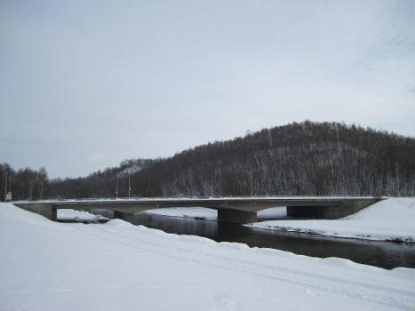 Wintertime at the , a bridge over the in Zwickau, Saxony, Germany